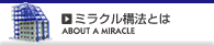 ミラクル構法とは